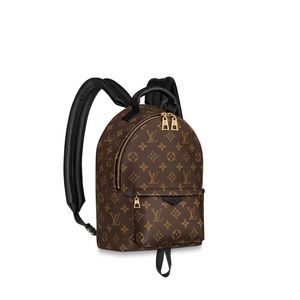 Louis Vuitton Monogram Bookbag